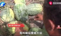 兰陵吃瓜最新事件爆料,揭秘最新事件背后的真相与内幕